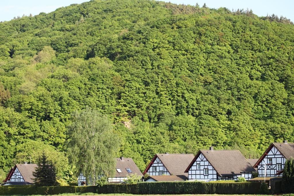 Апартаменты Bos En Kasteel Нидегген Экстерьер фото